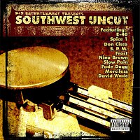 Různí interpreti – R & D Entertainment Presents Southwest Uncut