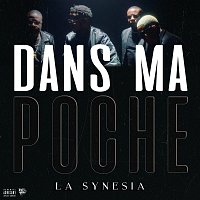 La Synesia – Dans ma poche