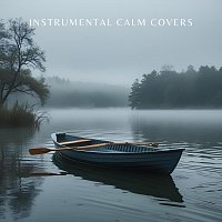 Paula ?iete, Chris Snelling, James Shanon, Yann Nyman – Instrumental Calm Covers