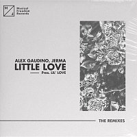 Alex Gaudino, Jerma – Little Love (pres. Lil' Love) [The Remixes]