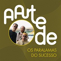 A Arte De Os Paralamas Do Sucesso