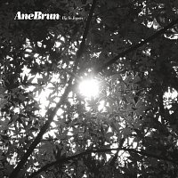 Ane Brun – Big In Japan