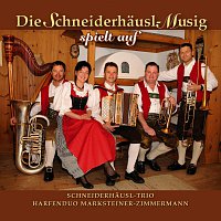Schneiderhausl Trio, Harfenduo Marksteiner Zimmermann – Die Schneiderhausl Musig spielt auf