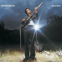 David Garza – Overdub