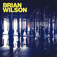 Brian Wilson – No Pier Pressure CD