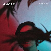 Přední strana obalu CD Ghost
