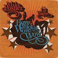 Mike Posner, Lil Wayne – Bow Chicka Wow Wow ft. Lil Wayne