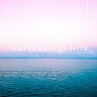 Přední strana obalu CD Instrumental Hits