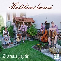 Halthauslmusi – Z'samm Gsput