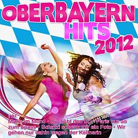 Různí interpreti – Oberbayern Hits 2012