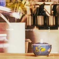 Přední strana obalu CD SleepWalker