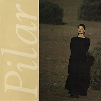 Přední strana obalu CD Pilar