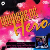 Různí interpreti – Bhangra De Hero