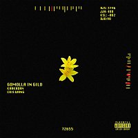Přední strana obalu CD Gomolla in gilo