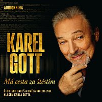 Přední strana obalu CD Gott: Má cesta za štěstím