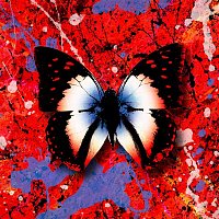 Ed Sheeran – 2step (The Remixes)