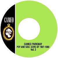 Přední strana obalu CD Cameo Parkway Pop And Soul Gems Of 1967-1968 Vol. 3