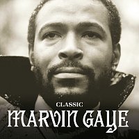 Marvin Gaye – The Masters Collection [Spectrum]