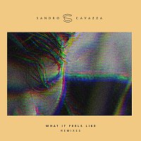 Sandro Cavazza – What It Feels Like [Remixes]