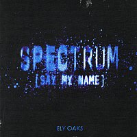 Ely Oaks – Spectrum (Say My Name)