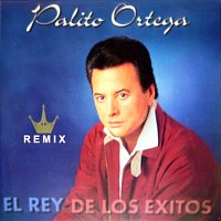 Palito Ortega – El Rey de los Éxitos (Remix)