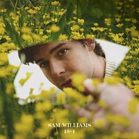 Sam Williams – 10-4