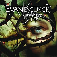 Evanescence – Anywhere But Home [Live]