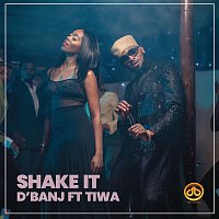 D'Banj – Shake It (feat. Tiwa Savage)