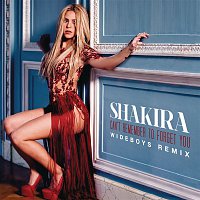 Shakira – Can't Remember to Forget You (Wideboys Remix)