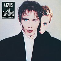Přední strana obalu CD A caus' des garcons