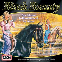 Black Beauty – 04/Black Beauty im Moor