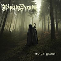 Přední strana obalu CD Morgengrauen