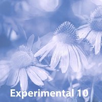 Experimental 10