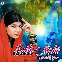 Shabnam Majid – Sukh Mahi Naal Le Gaya