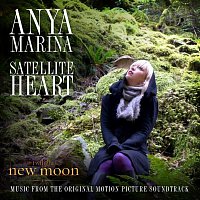 Přední strana obalu CD Satellite Heart