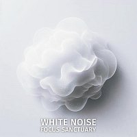 Přední strana obalu CD White Noise Focus Sanctuary
