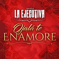 Banda La Ejecutiva De Mazatlán Sinaloa – Ojalá Te Enamore