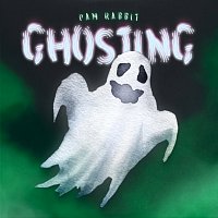 Pam Rabbit – ghosting