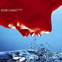 Boney James – Pure