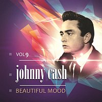 Přední strana obalu CD Beautiful Mood Vol. 9