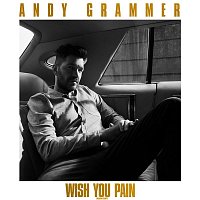 Andy Grammer – Wish You Pain (Radio Edit)