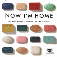 Přední strana obalu CD Now I'm Home - The Soap Records Guide