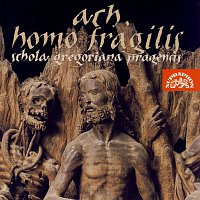 Schola Gregoriana Pragensis – Ach, homo fragilis CD