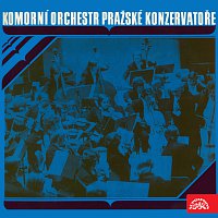 Komorní orchestr pražské konzervatoře (Martinů: Serenády, Janáček: Suita)