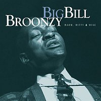 Big Bill Broonzy – Warm, Witty, & Wise (Mojo Workin': Blues For The Next Generation)