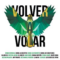 Banda Carnaval, Banda La Ejecutiva, Banda Los Recoditos, Calibre 50, El Bebeto – Volver A Volar