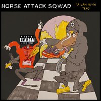 Přední strana obalu CD Paivan hyva teko