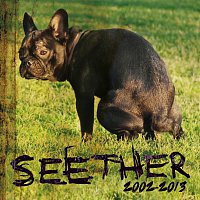 Seether – Seether: 2002-2013
