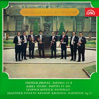 Přední strana obalu CD Collegium musicum Pragense