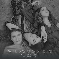 Wildwood Kin – Wake Up Sleeper (Acoustic)